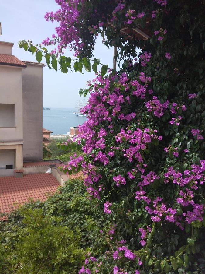 Luna Tsuki Seven Lejlighedshotel Rovinj Eksteriør billede